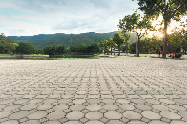 Best Commercial Driveway Pavers  in Dasher, GA